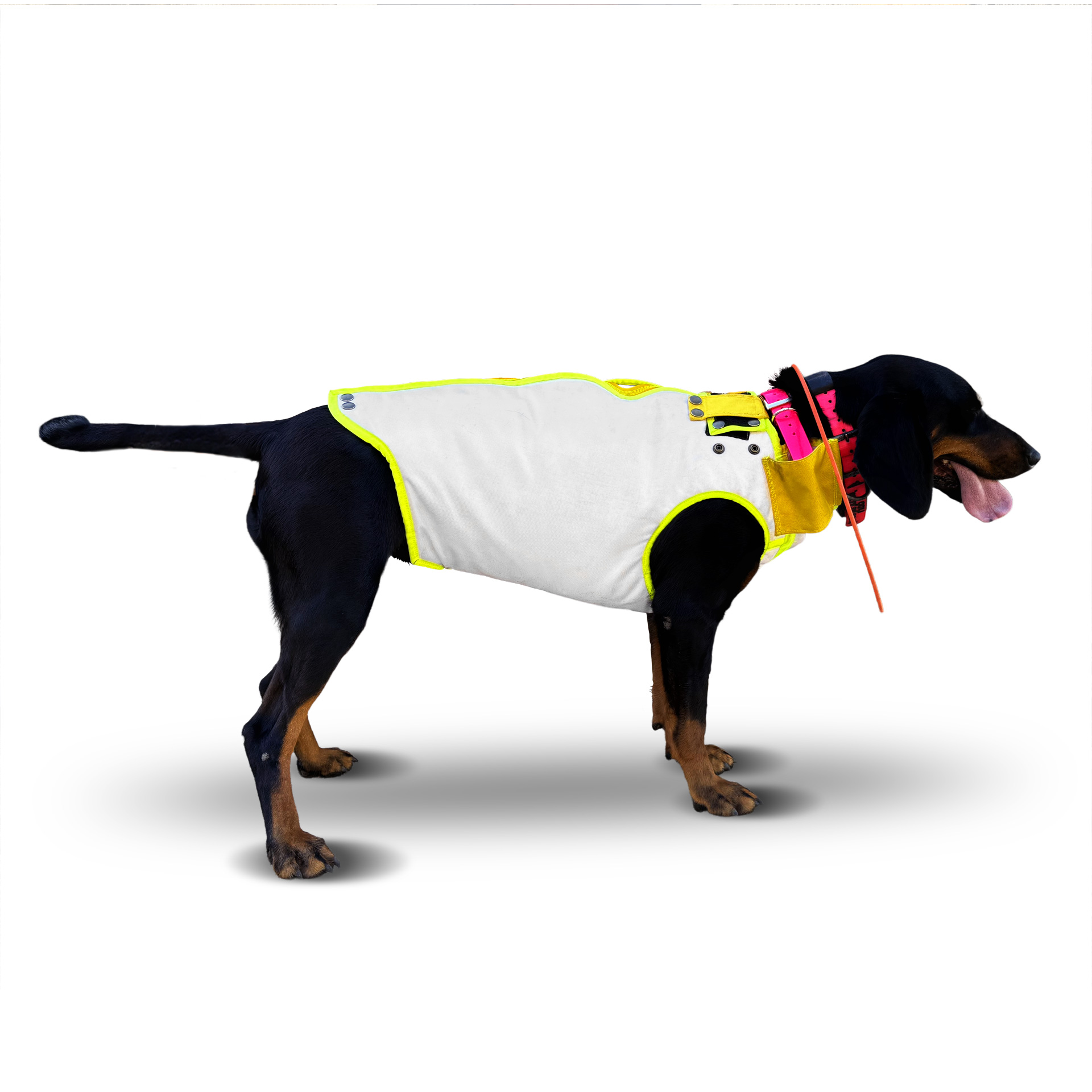 Gilet pour chien Guerrino sur mesure Gilets de protection chien