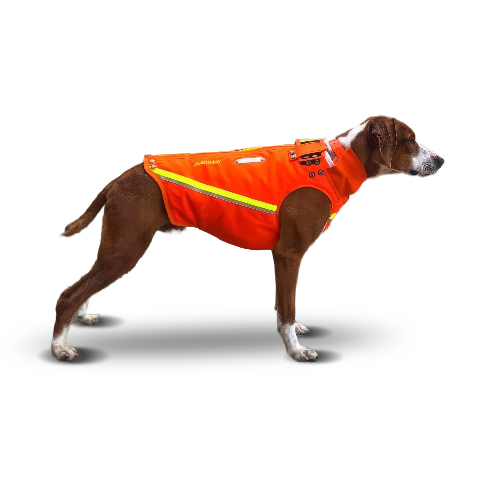 Gilet pour chien Guerrino sur mesure Gilets de protection chien