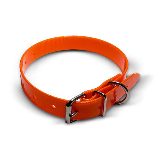 TPU Collar, 20mm wide, 45cm, roller buckle Engraved collars