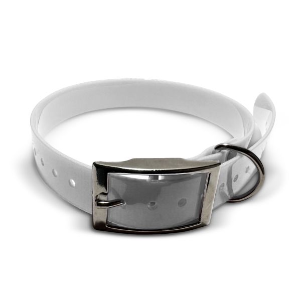 Collare TPU, 25mm di larghezza, fibbia US