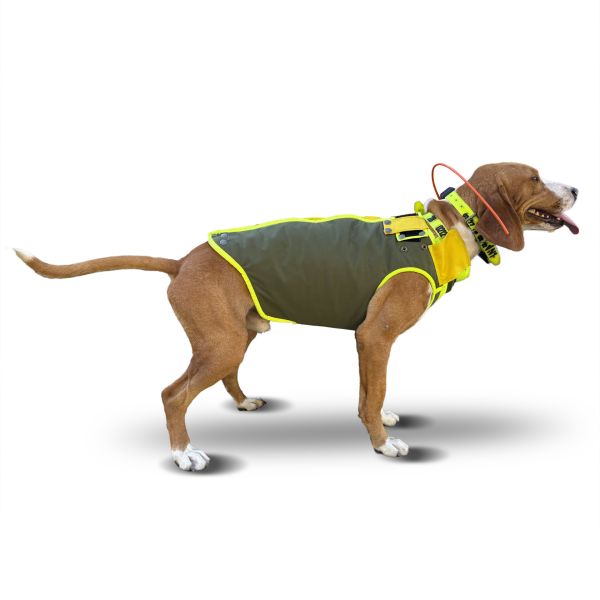 Bespoke Guerrino Dog Vest