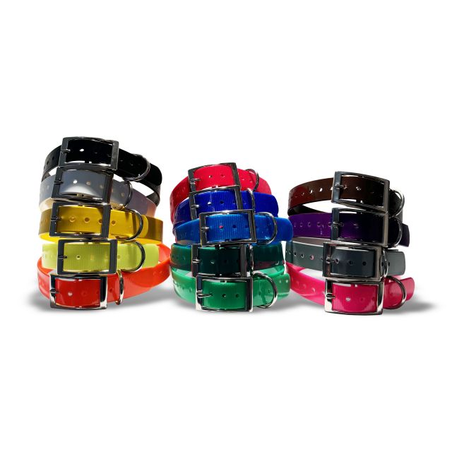 Biothane Gold Collar, 25mm wide, US buckle Engraved collars