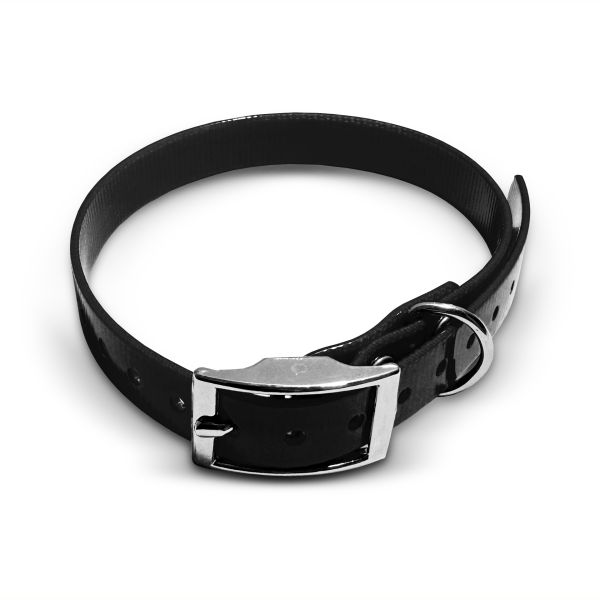 Biothane Gold Collar, 19mm wide, US buckle