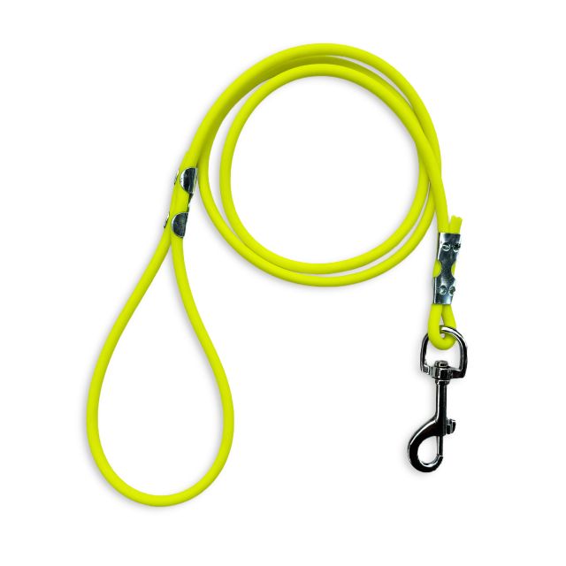 Laisse simple Biothane Laisses