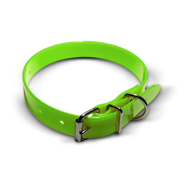 Collare TPU, 20mm di larghezza, 45 cm, fibbia a rullo Collari incisi
