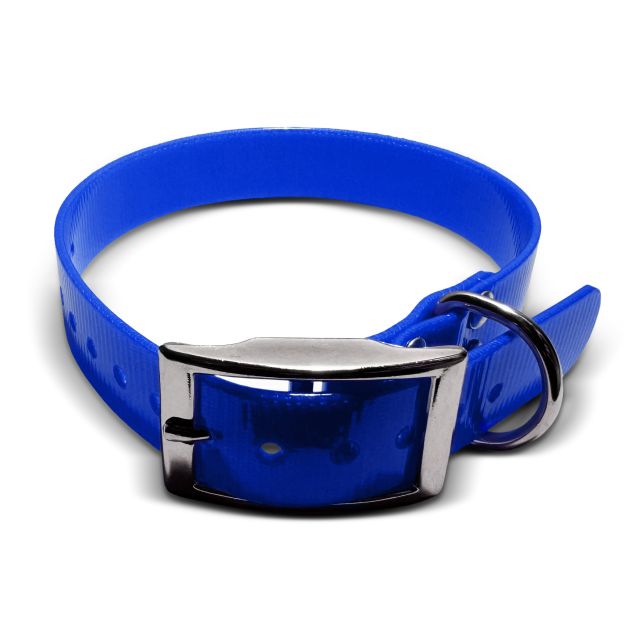 Biothane Gold Collar, 25mm wide, US buckle Engraved collars