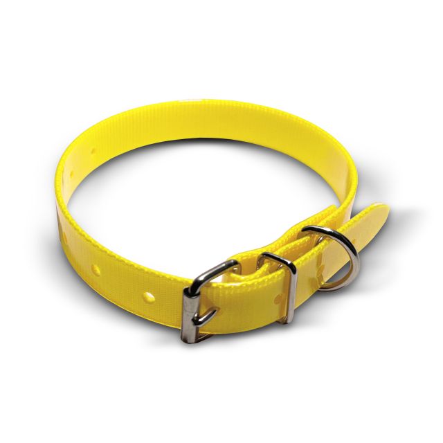 Collare TPU, 20mm di larghezza, 45 cm, fibbia a rullo Collari incisi