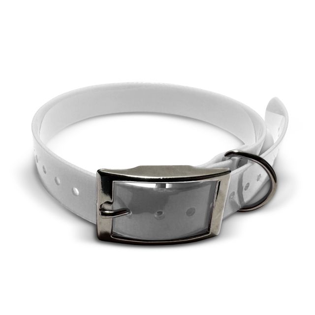 TPU Collar, 25mm wide, US buckle Engraved collars