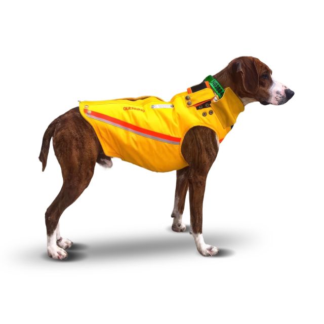 Bespoke Guerrino Dog Vest Dog protection vests
