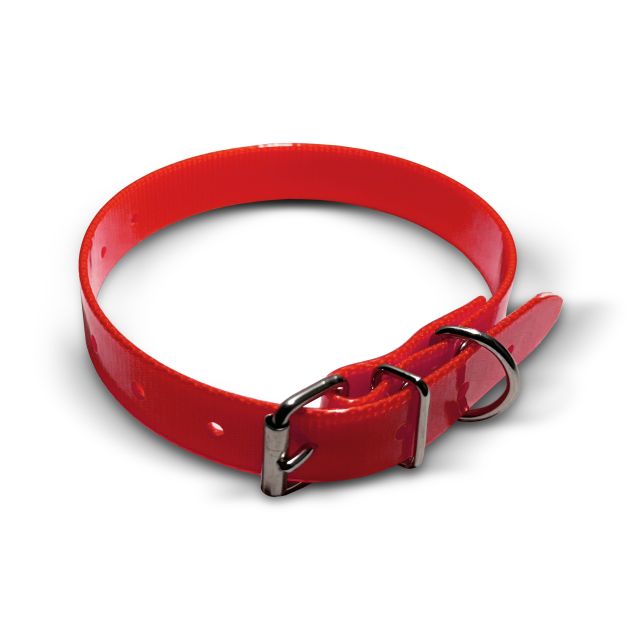 Collare TPU, 20mm di larghezza, 45 cm, fibbia a rullo Collari incisi