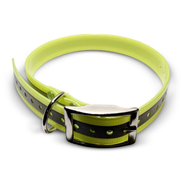Biothane Gold Reflect Collar, 25mm wide, US buckle