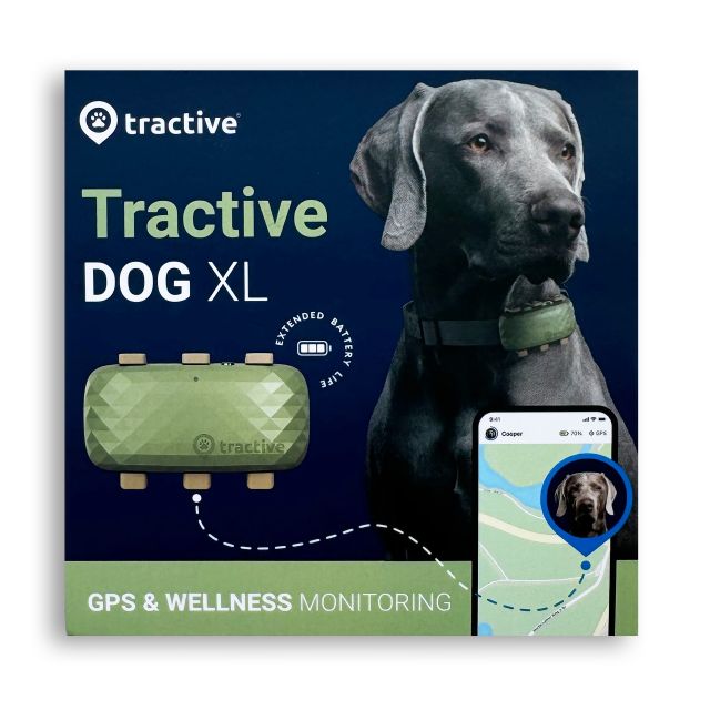 Collare GPS Tractive DOG XL Localizzazione - GPS