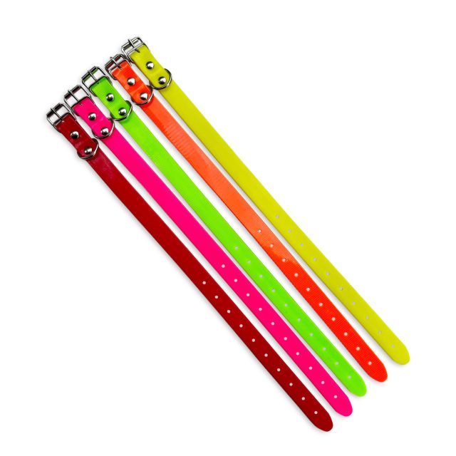 Collare TPU, 20mm di larghezza, 45 cm, fibbia a rullo Collari incisi