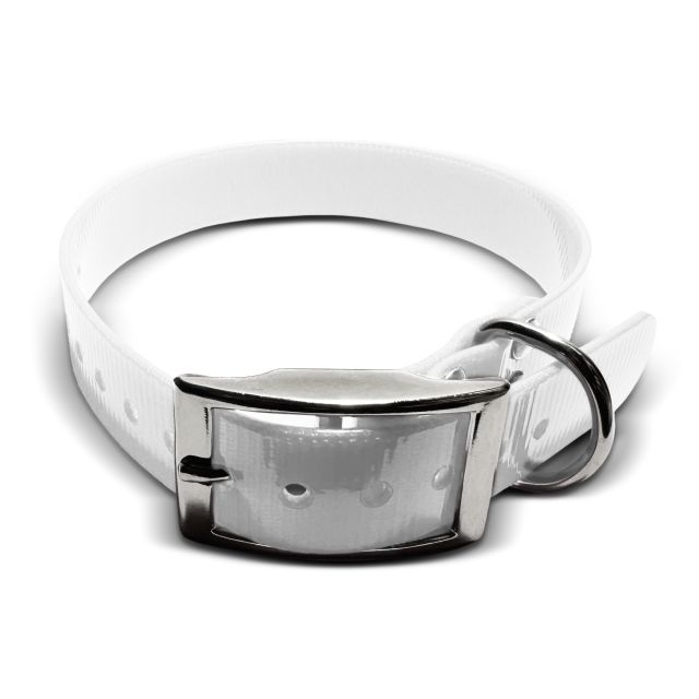 Biothane Gold Collar, 25mm wide, US buckle Engraved collars